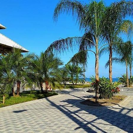 Uw Oasis Hotel La Ceiba Exteriör bild